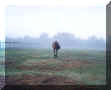 Fog Small.jpg (27875 bytes)